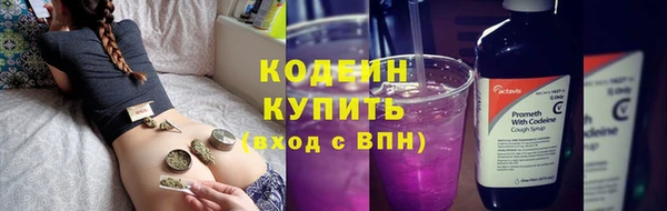 крисы Вязьма