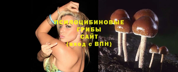 крисы Вязьма