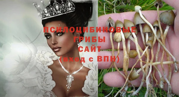 крисы Вязьма