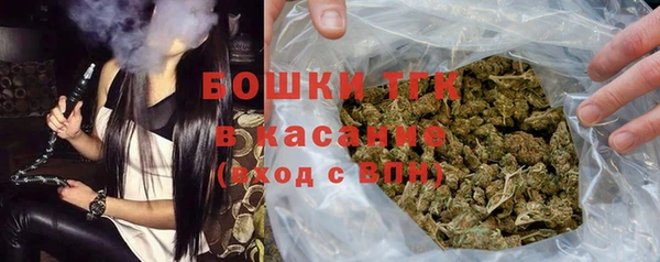 крисы Бородино