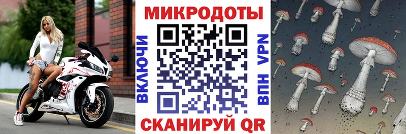 Псилоцибиновые грибы Psilocybine cubensis  Добрянка 